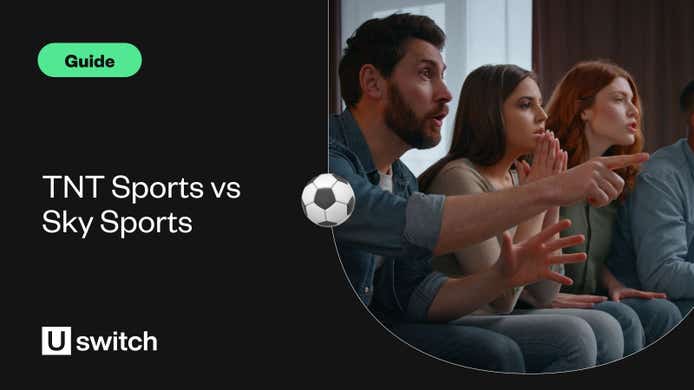 sports fans watching tv at home
